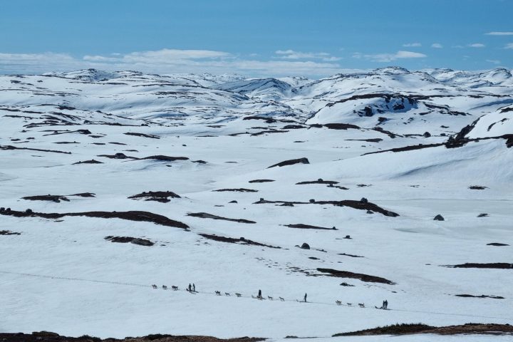 a snow covered field