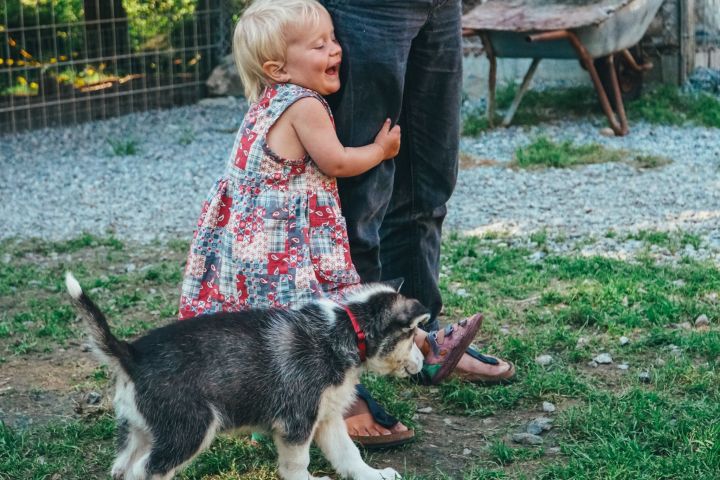 a little girl near a dog