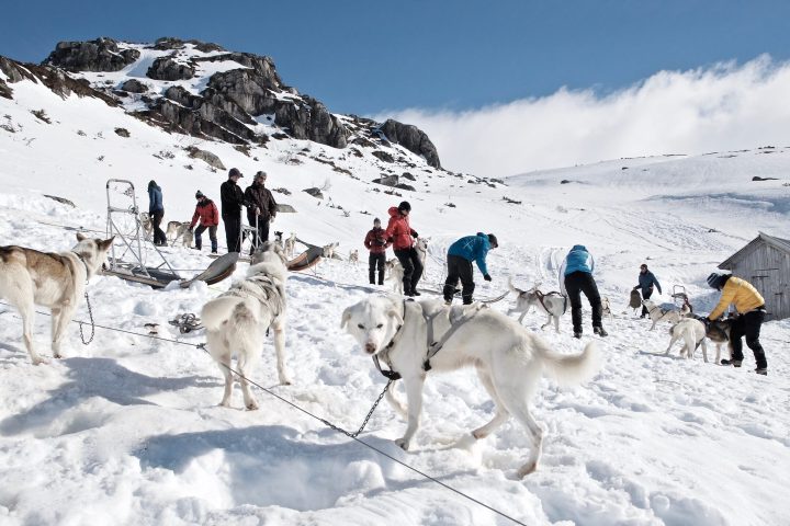 a group of people standing in a snow covered field