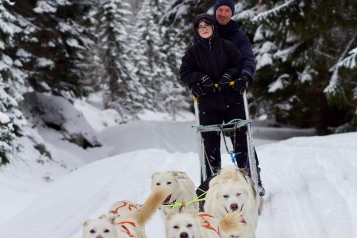 a group of people riding sleds pulled by huskies