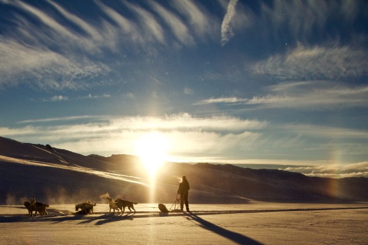 a person riding a sled pulled by huskies