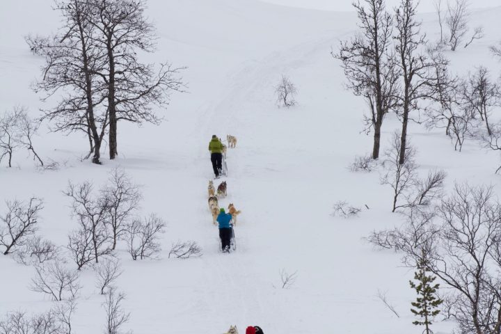 a man riding sleds down a snow covered slope