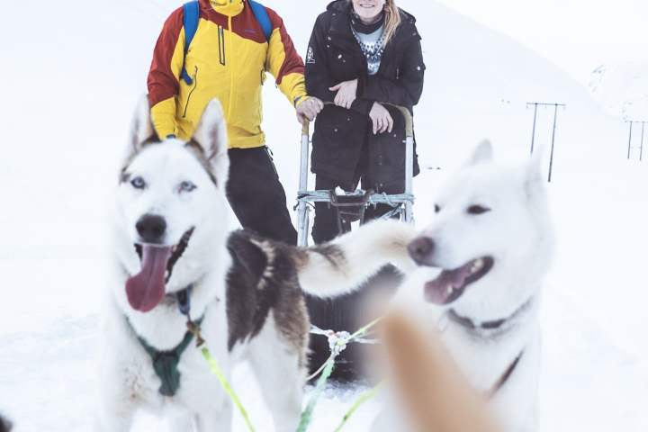 a group of people riding sleds pulled by huskies