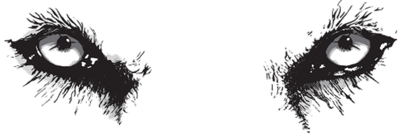 a close up of a logo