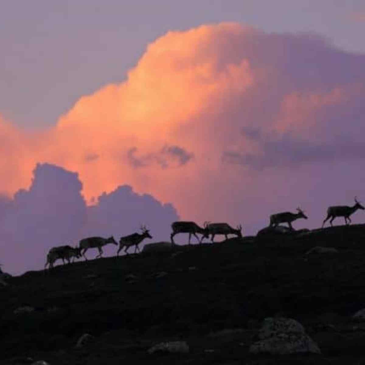 a group of clouds in the sky