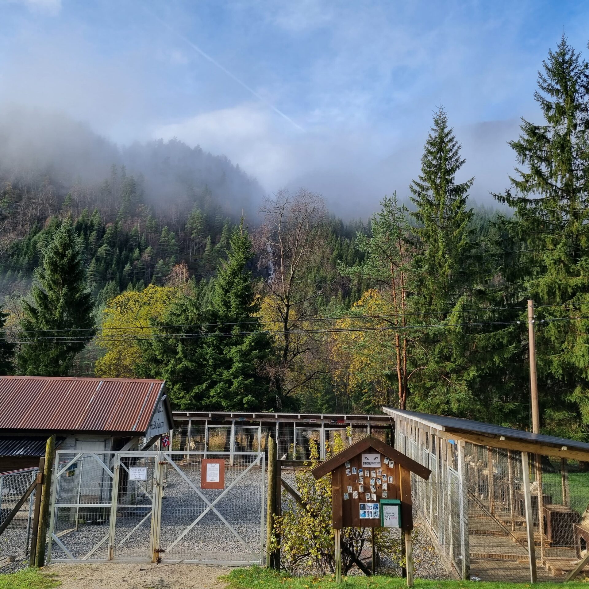a house surrounded by trees