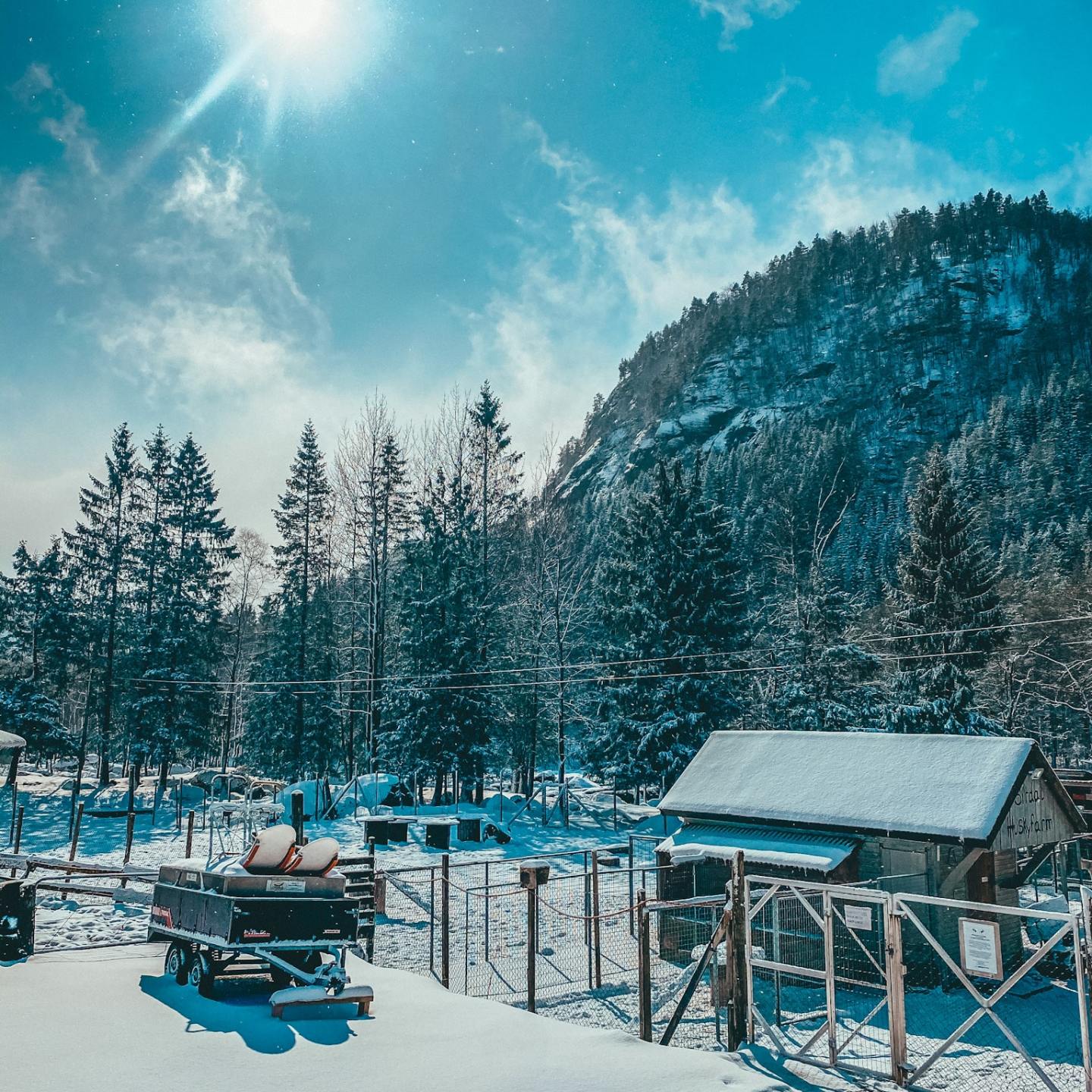 a cabin next to a snow-covered field