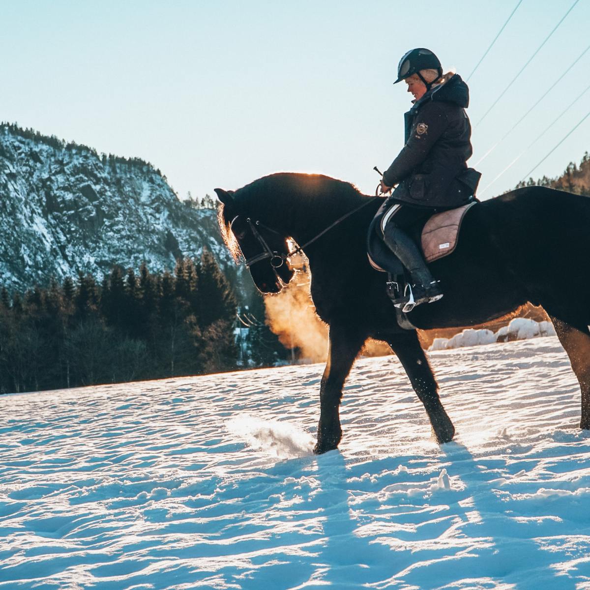 a person riding a horse in the snow