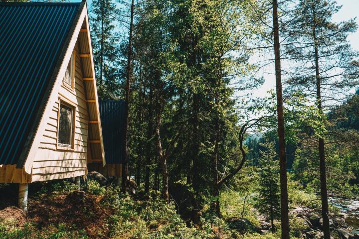a tree in front of a building
