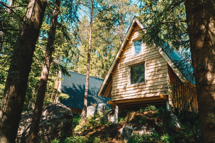 a house with a tree in a forest