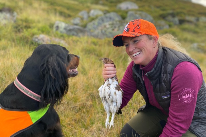 a person and a dog in a field