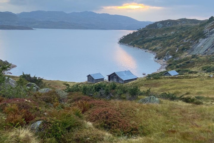a close up of a hillside next to a body of water